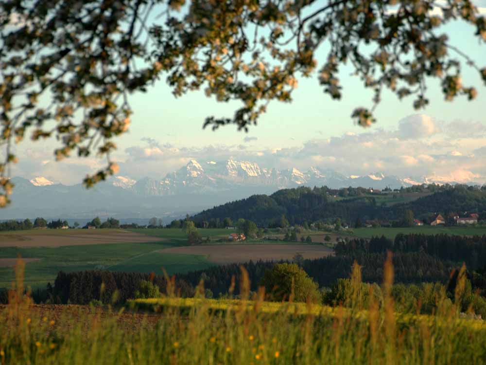 Blick über das Salemertal